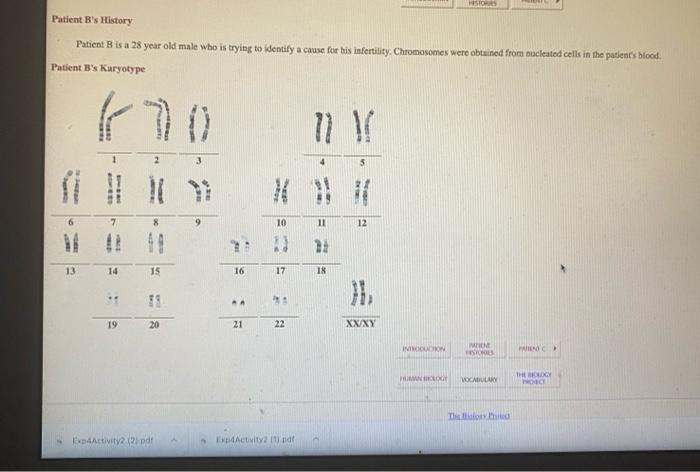 Cut and paste karyotyping activity