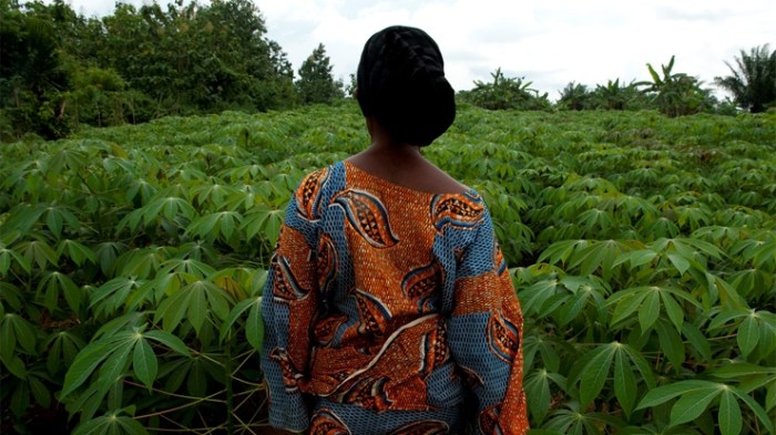 A man called bee studying the yanomamo