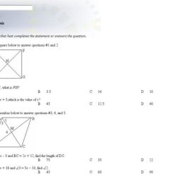 Rhombi and squares puzzle answer key