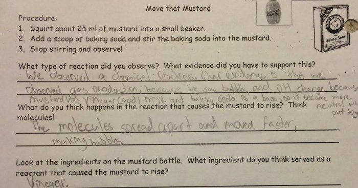 Savvas experience chemistry answer key