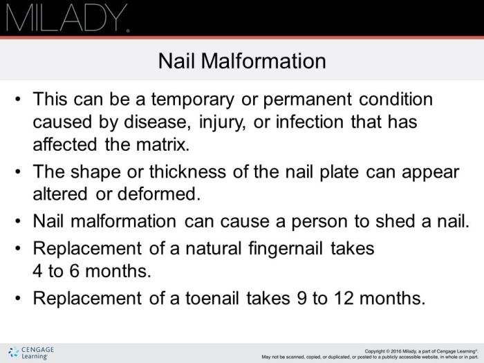 Replacement of a natural fingernail takes about